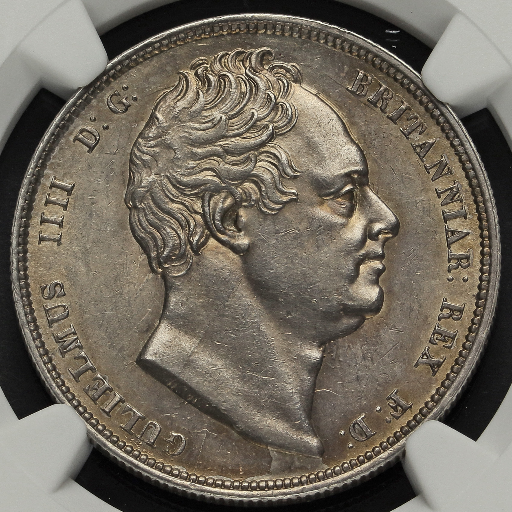 1834-ngc-hc-o.jpg