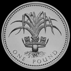 1990 Silver Proof £1 One Pound Coin Reverse