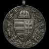 Austro-Hungarian WW 1 Combatants Medal Obverse