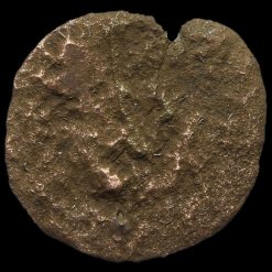 Charles I Copper Rose Farthing Reverse