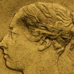 1876 Queen Victoria Young Head Shield Back Gold Half Sovereign Damage