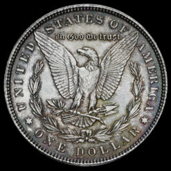 USA 1896 Silver Morgan Dollar Reverse