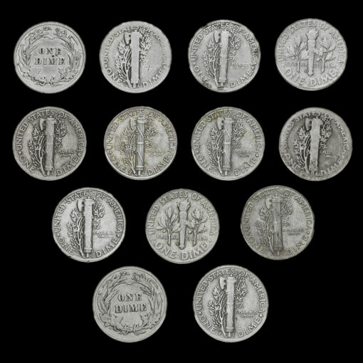 13 Assorted USA Silver Dimes Reverses